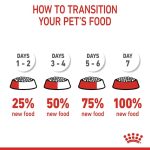 غذای گربه رویال کنین مدل پرشین ادلت ROYAL CANIN PERSIAN ADULT 10 KG