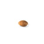 غذای گربه رویال کنین مدل پرشین ادلت ROYAL CANIN PERSIAN ADULT 10 KG
