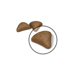 غذای خشک گربه رویال کنین هیربال ROYAL CANIN HAIRBALL CARE 2 KG