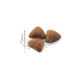 غذای خشک گربه رویال کنین مدل ایندور ROYAL CANIN INDOOR 2 KG