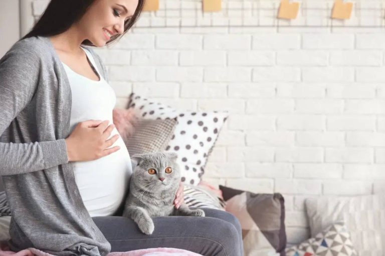 Does cat hair cause infertility? The truth you need to know